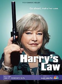 دانلود سریال  Harry’s Law